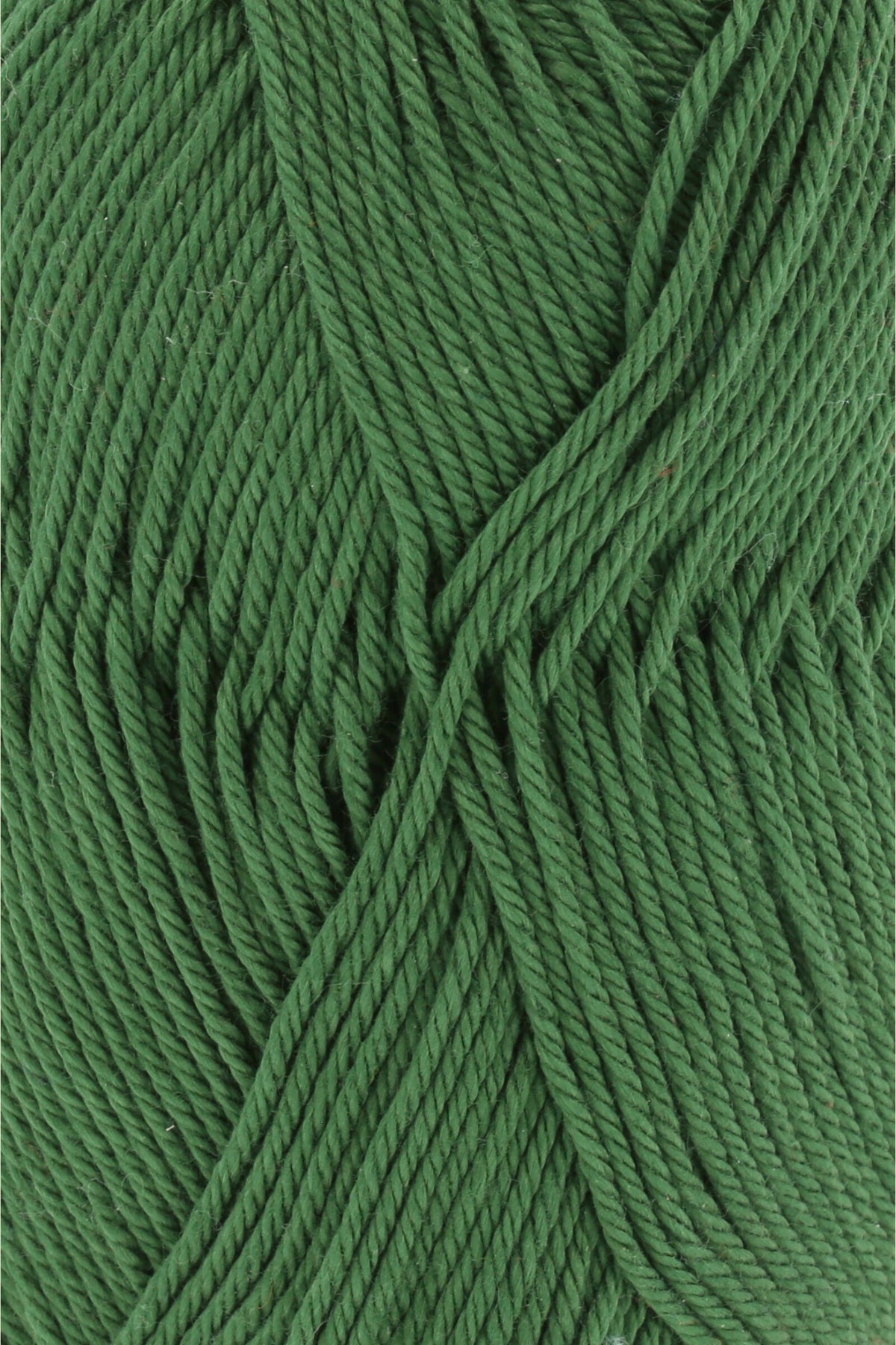 Lang Yarns - Quattro