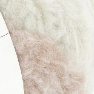 Concept by Katia - Pluma Degrade (CLEARANCE)