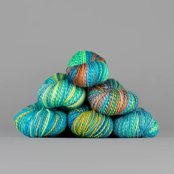Spincycle Yarns - Dyed In The Wool