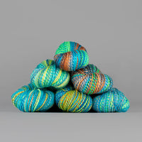 Spincycle Yarns - Dyed In The Wool