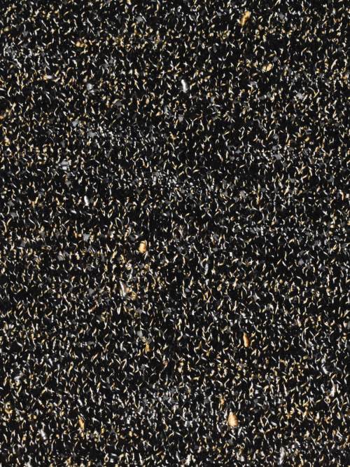 Louisa Harding - Gabrielle