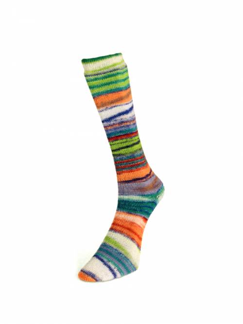 Laines du Nord - Eclectic Sock