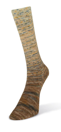 Laines du Nord - Paint Gradient Sock
