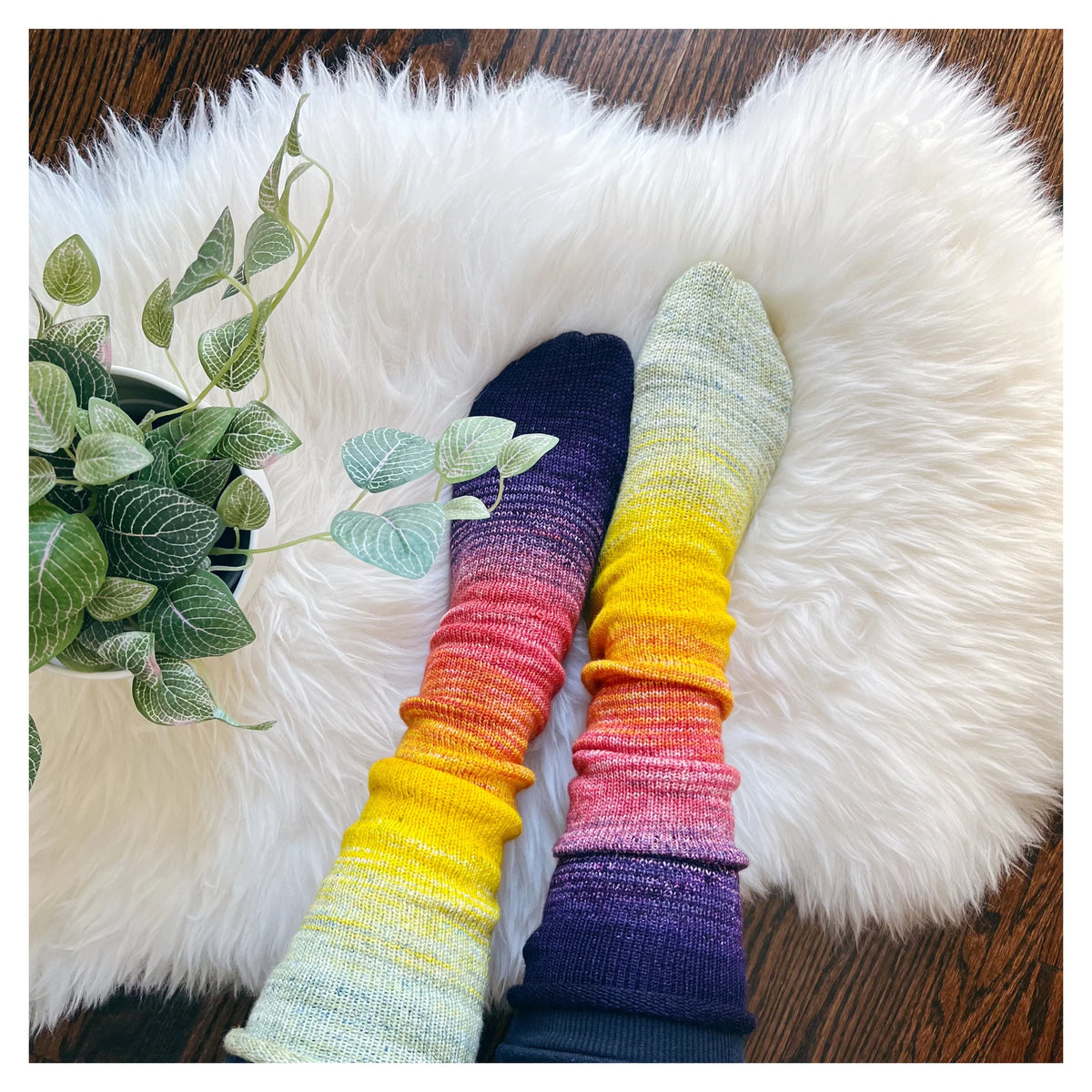 Shirley Brian Yarns - Deconstructed Fade Sock