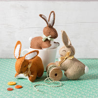 Corinne Lapierre Felt Craft Big Kit