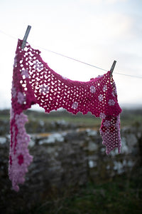 The Crochet Project: The Shawl Project - Book 5
