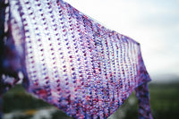 The Crochet Project: The Shawl Project - Book 5