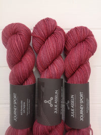 Julie Asselin Journey Sport