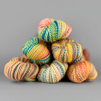 Spincycle Yarns - Dyed In The Wool