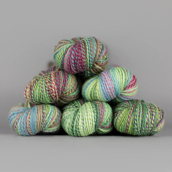 Spincycle Yarns - Dyed In The Wool