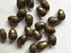 2151 Acorns (18mm)
