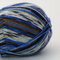 Arne & Carlos Socks & More 4 Ply