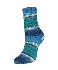 Rellana Garne - Flotte Socke Papagei 4ply