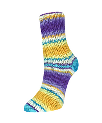 Rellana Garne - Flotte Socke Papagei 4ply