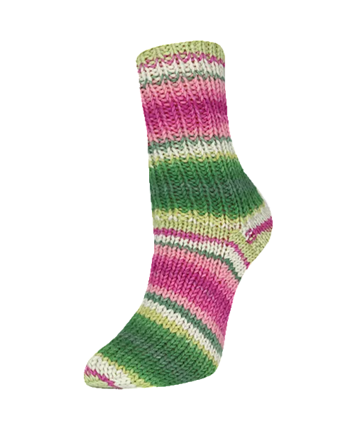 Rellana Garne - Flotte Socke Papagei 4ply