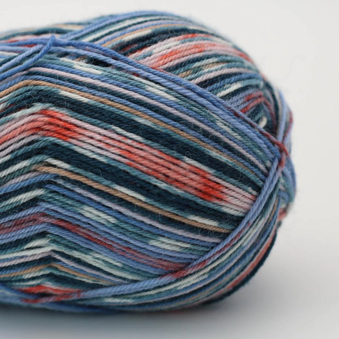 Arne & Carlos Socks & More 4 Ply