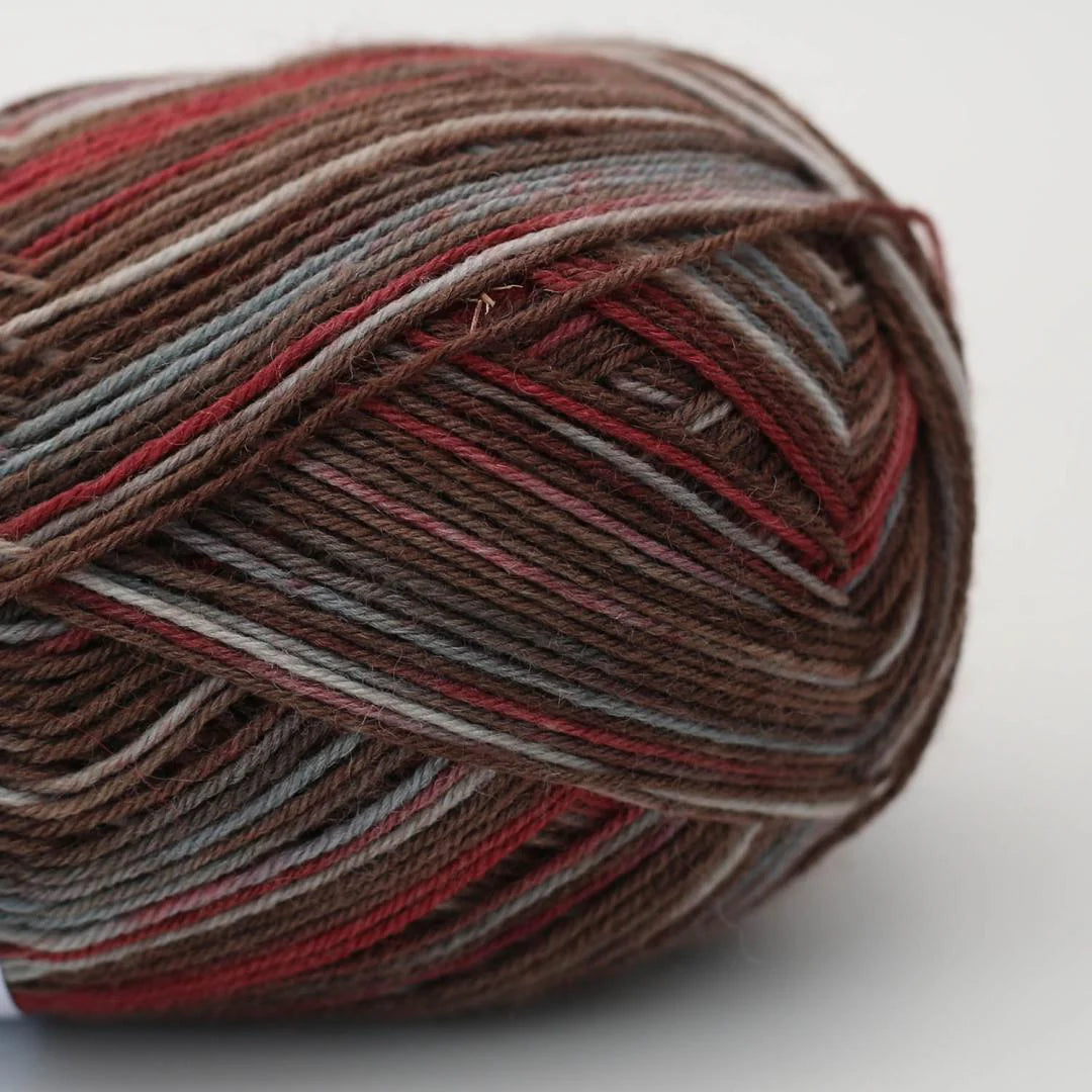 Arne & Carlos Socks & More 4 Ply