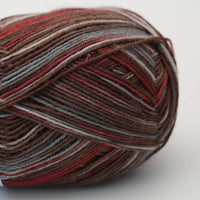 Arne & Carlos Socks & More 4 Ply