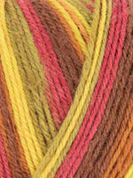 West Yorkshire Spinners (WYS) Signature 4-Ply