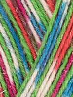 Holiday Collection West Yorkshire Spinners (WYS) Signature 4-Ply (CLEARANCE)