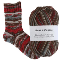 Arne & Carlos Socks & More 4 Ply
