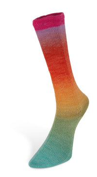 Laines du Nord - Harmonious Socks