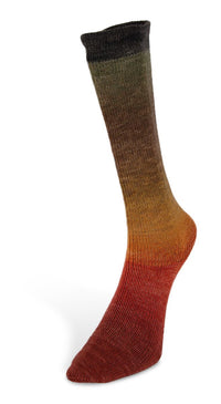 Laines du Nord - Harmonious Socks