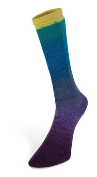 Laines du Nord - Harmonious Socks