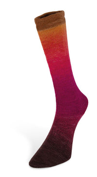Laines du Nord - Harmonious Socks