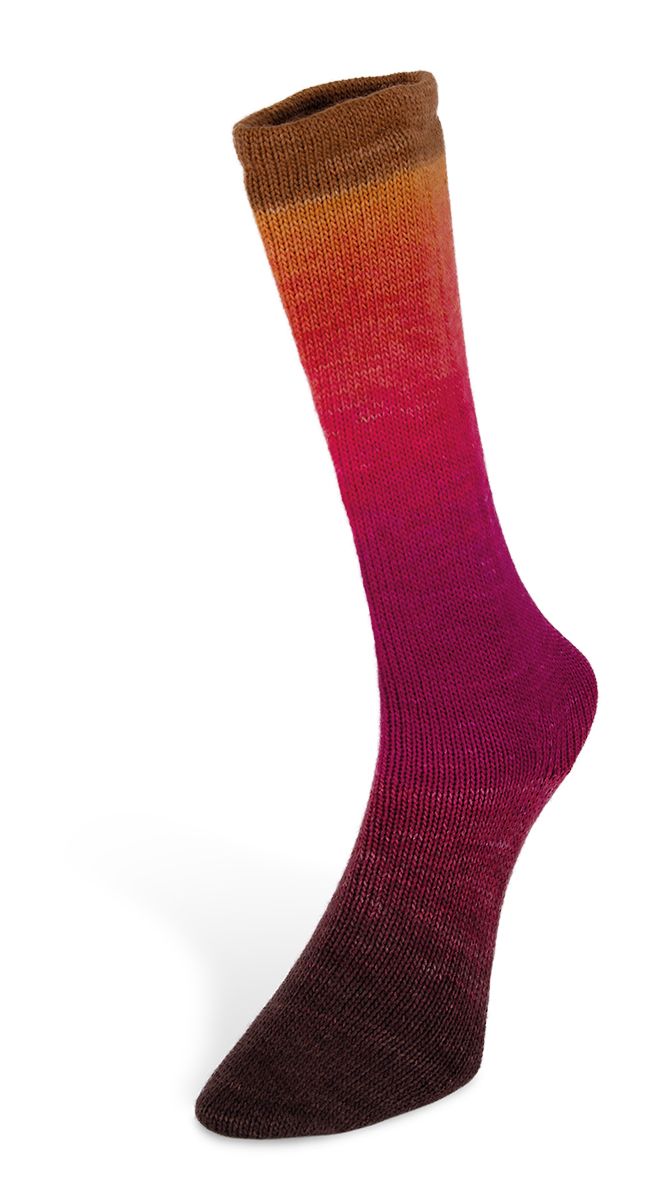 Laines du Nord - Harmonious Socks