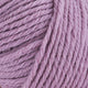 Artichoke Purple