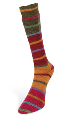 Laines du Nord - Indulgence Socks