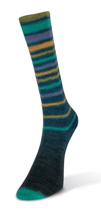 Laines du Nord - Infinity Sock