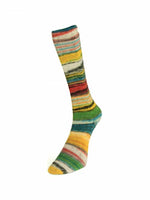 Laines du Nord - Eclectic Sock