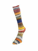 Laines du Nord - Eclectic Sock