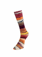 Laines du Nord - Eclectic Sock