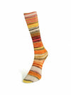 Laines du Nord - Eclectic Sock