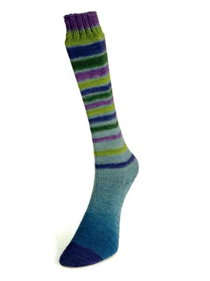 Laines du Nord - Infinity Sock – The Knitting Loft