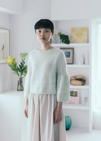 Amirisu Assemblage Vol. 2