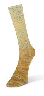 Laines du Nord - Paint Gradient Sock