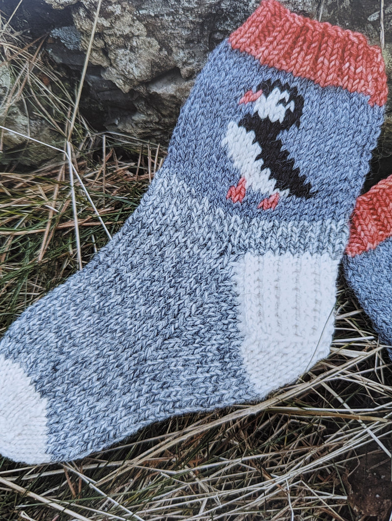 Saltwater Socks