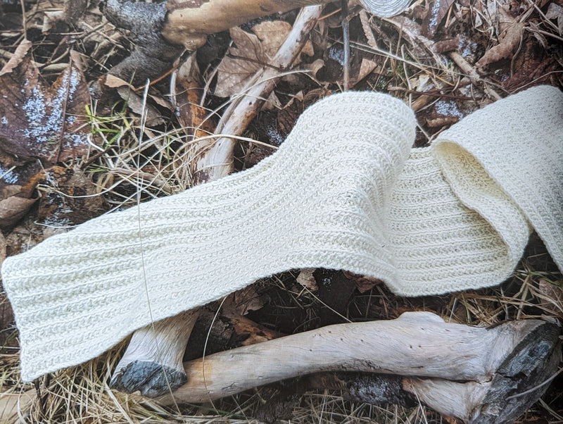 Saltwater Socks