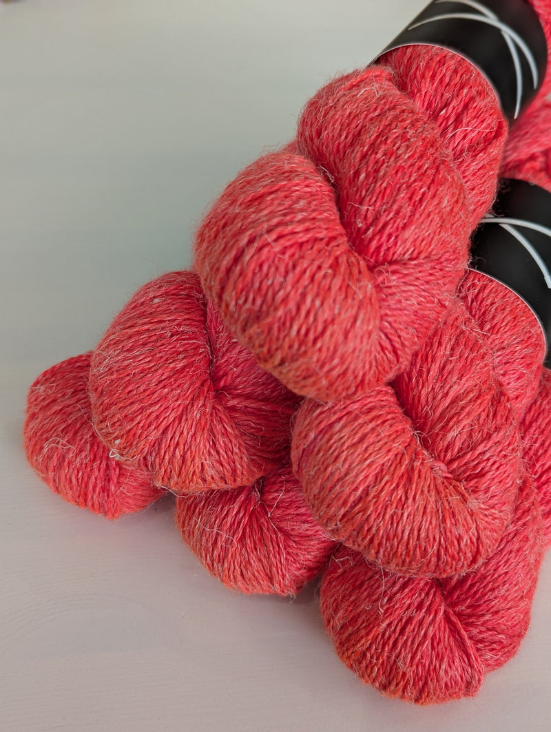 Icarus Bundles