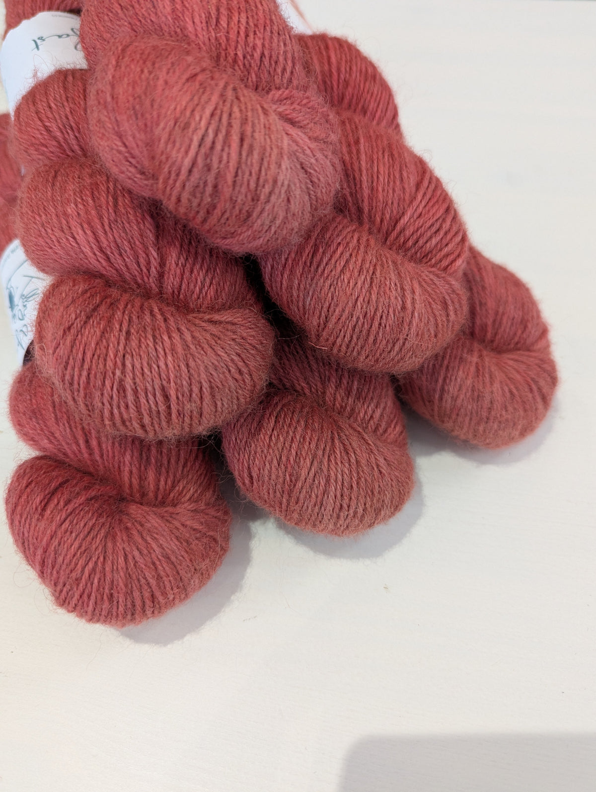 Icarus Bundles