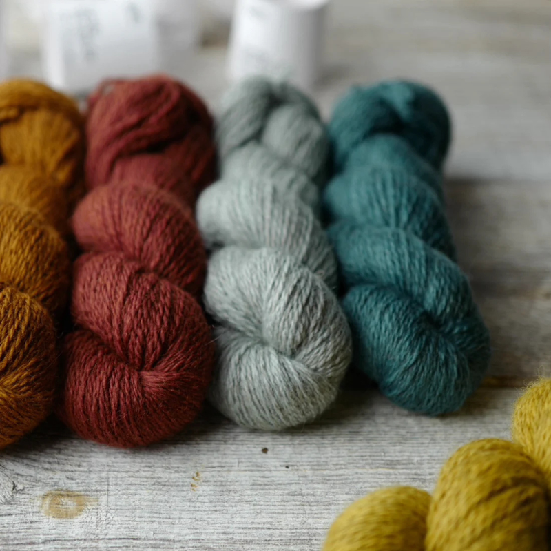 Sonder Yarn Co. - Sunday Morning DK