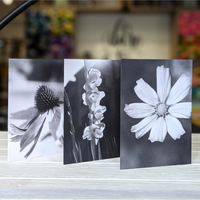 Post Velum - Greeting Cards
