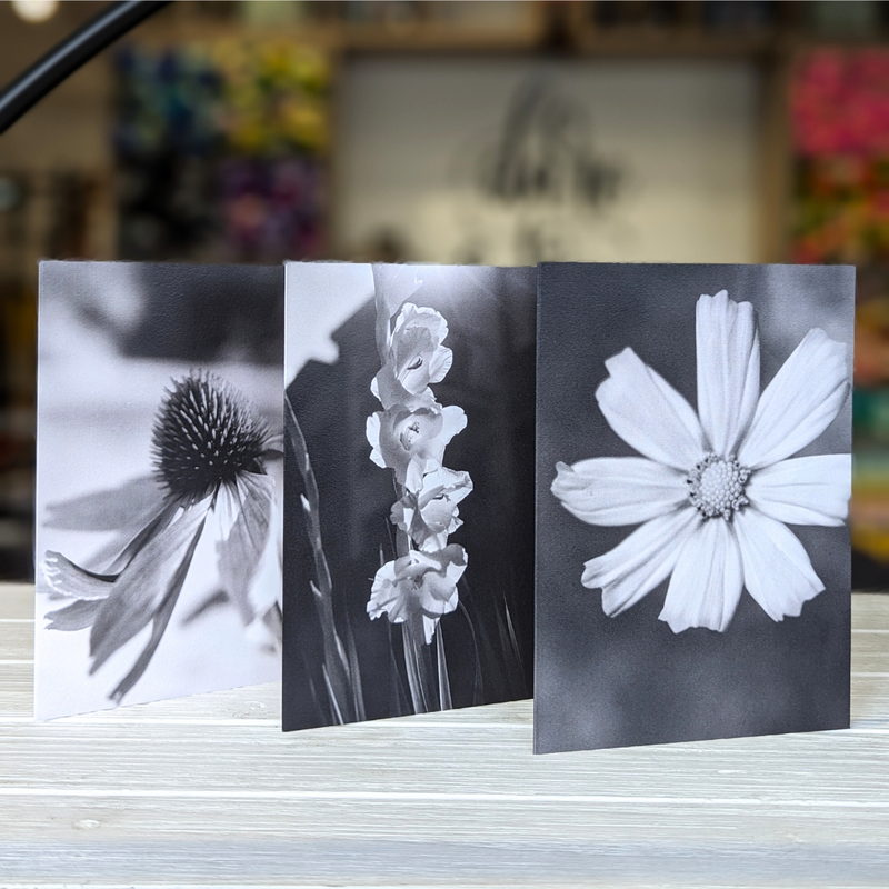 Post Velum - Greeting Cards