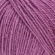 Blackcurrant Ice Cream