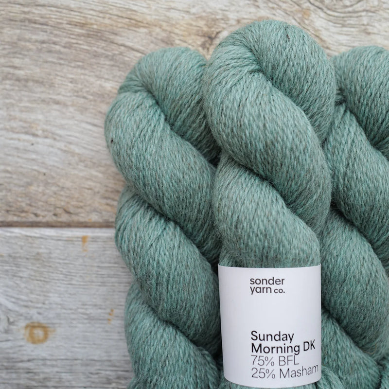 Sonder Yarn Co. - Sunday Morning DK