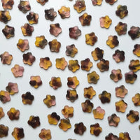 PigeonWishes Buttons